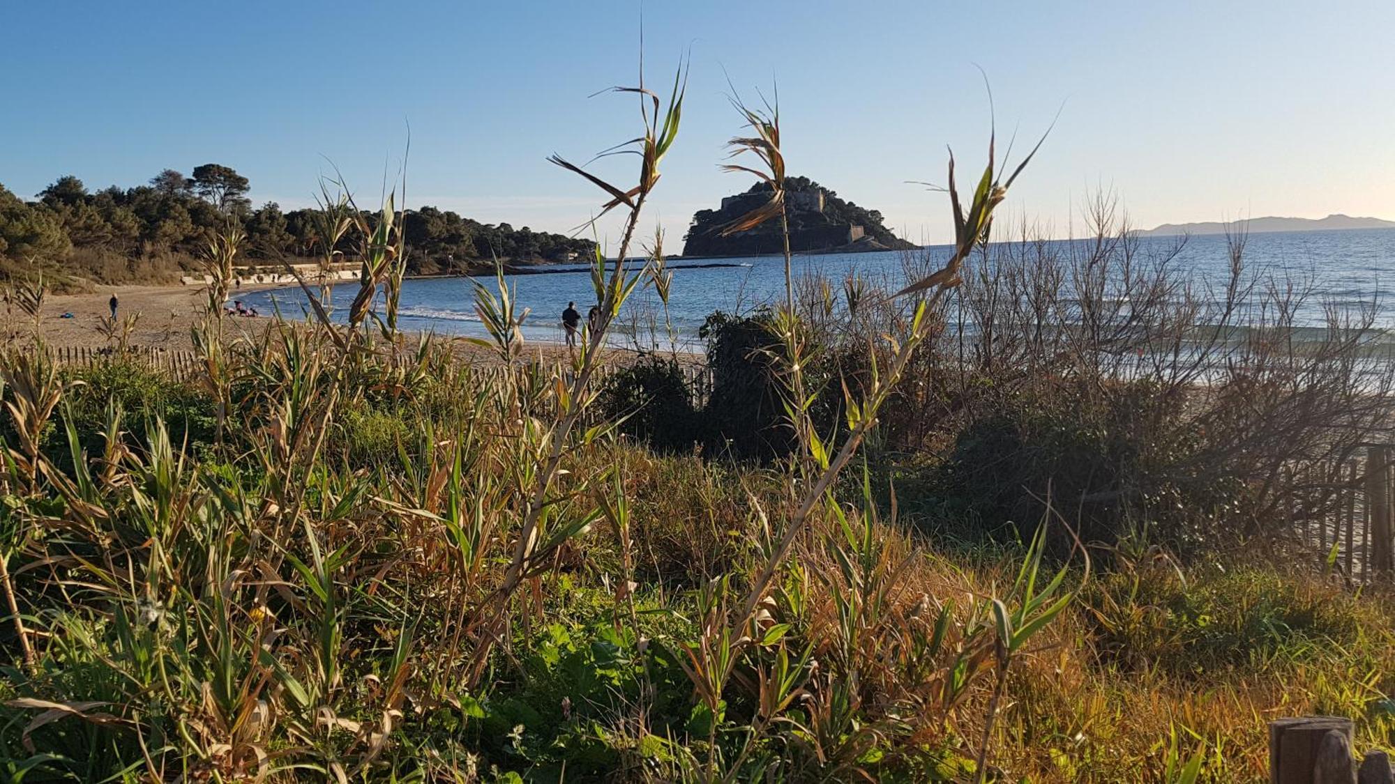 Rez De Jardin T3 Recent Et Calme Au Nouvelles Terres A La Londe Les Maures 아파트 외부 사진