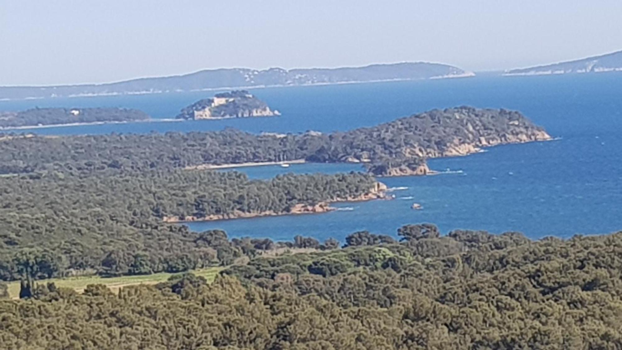 Rez De Jardin T3 Recent Et Calme Au Nouvelles Terres A La Londe Les Maures 아파트 외부 사진