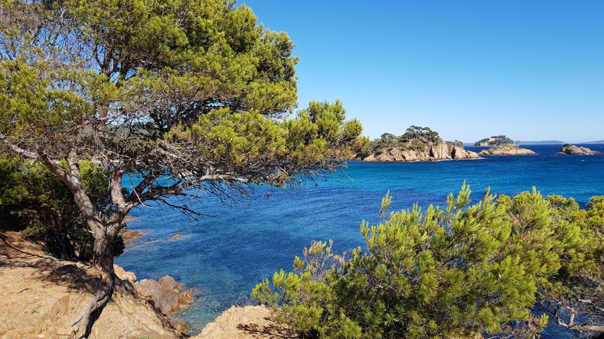 Rez De Jardin T3 Recent Et Calme Au Nouvelles Terres A La Londe Les Maures 아파트 외부 사진