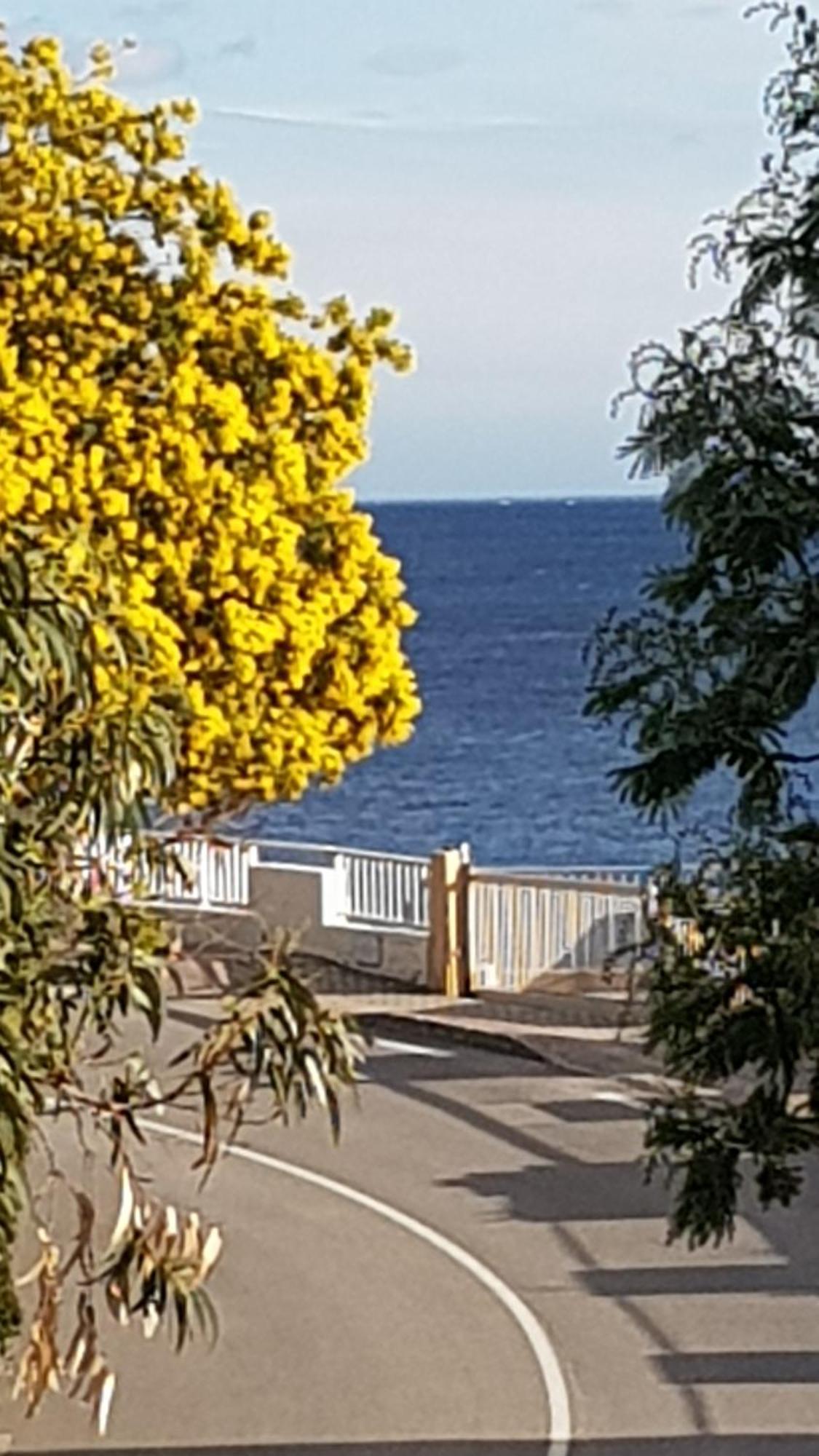 Rez De Jardin T3 Recent Et Calme Au Nouvelles Terres A La Londe Les Maures 아파트 외부 사진