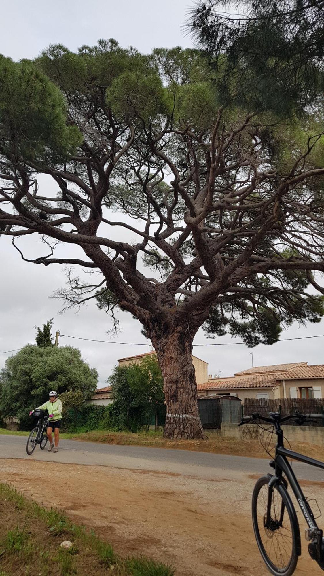 Rez De Jardin T3 Recent Et Calme Au Nouvelles Terres A La Londe Les Maures 아파트 외부 사진