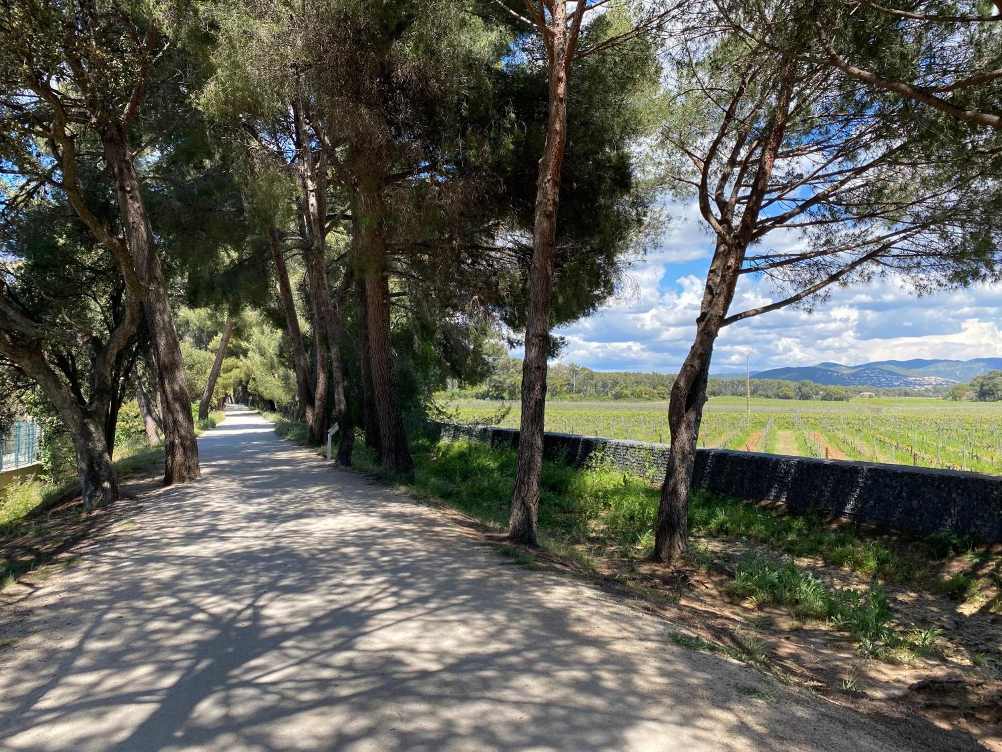 Rez De Jardin T3 Recent Et Calme Au Nouvelles Terres A La Londe Les Maures 아파트 외부 사진