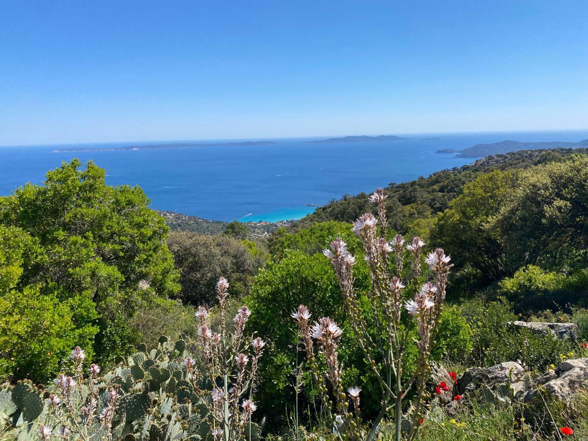 Rez De Jardin T3 Recent Et Calme Au Nouvelles Terres A La Londe Les Maures 아파트 외부 사진