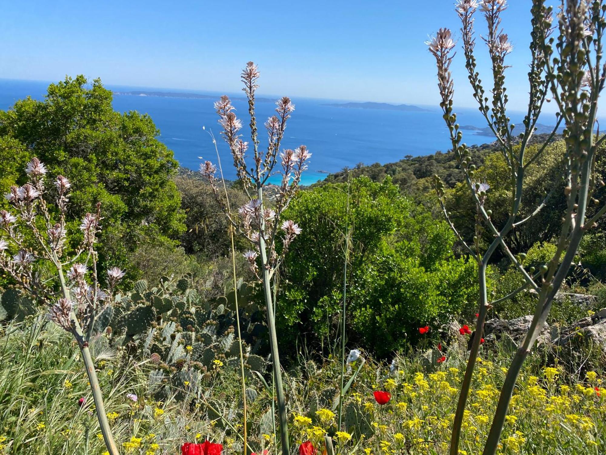 Rez De Jardin T3 Recent Et Calme Au Nouvelles Terres A La Londe Les Maures 아파트 외부 사진